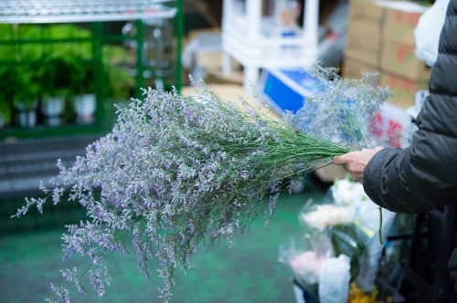 お花の加工・梱包スタッフ(北棟)