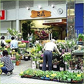 川崎駅銀座街の花屋です