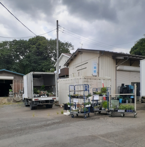 三芳町のお花屋さん