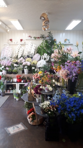 街のお花屋さんのお手伝い