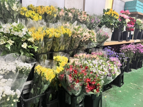 水揚げ・軽作業スタッフ募集！！