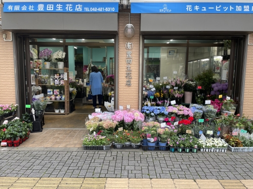 店舗スタッフ募集