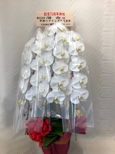 酒井さん専用